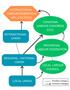 A relational chart of affiliate labour organizations