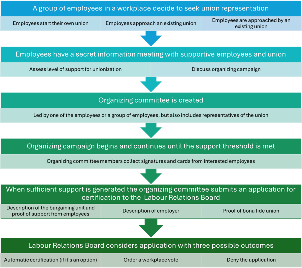 A chart outlining the steps in the union organizing campaign.